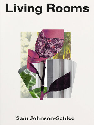 cover image of Living Rooms